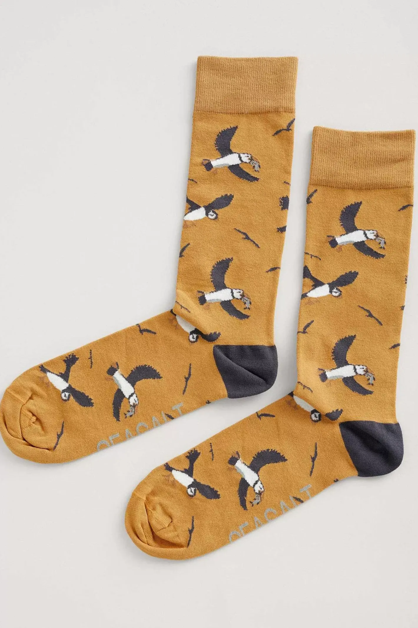 Men Seasalt Cornwall Men's Arty Organic Cotton Socks