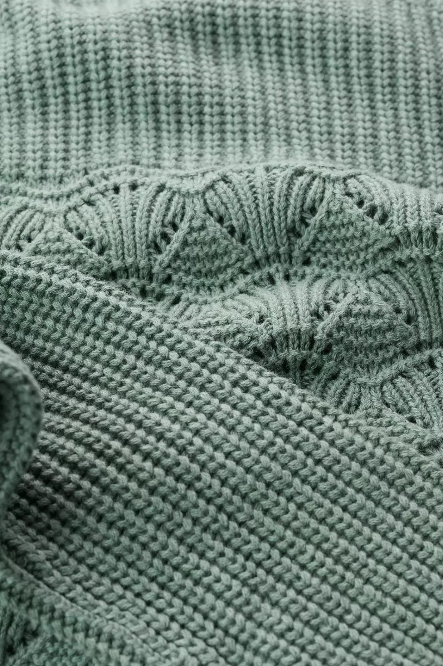 Women Seasalt Cornwall Sea Bird Organic Cotton Jumper